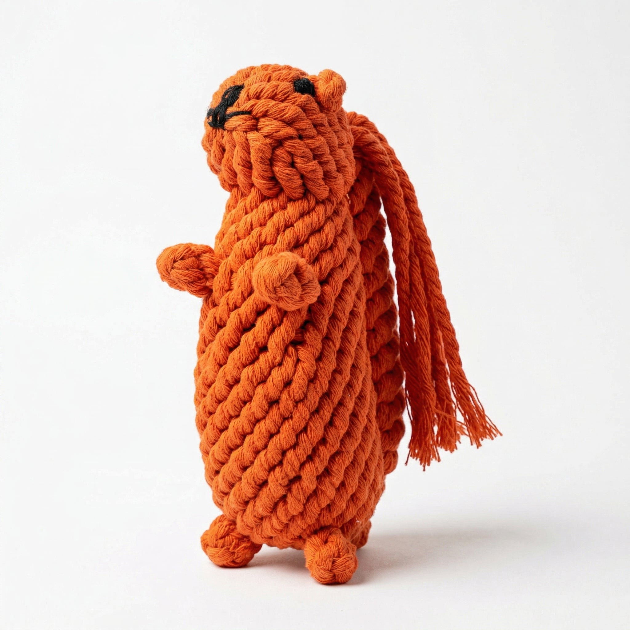 Oliver the Squirrel Rope Toy