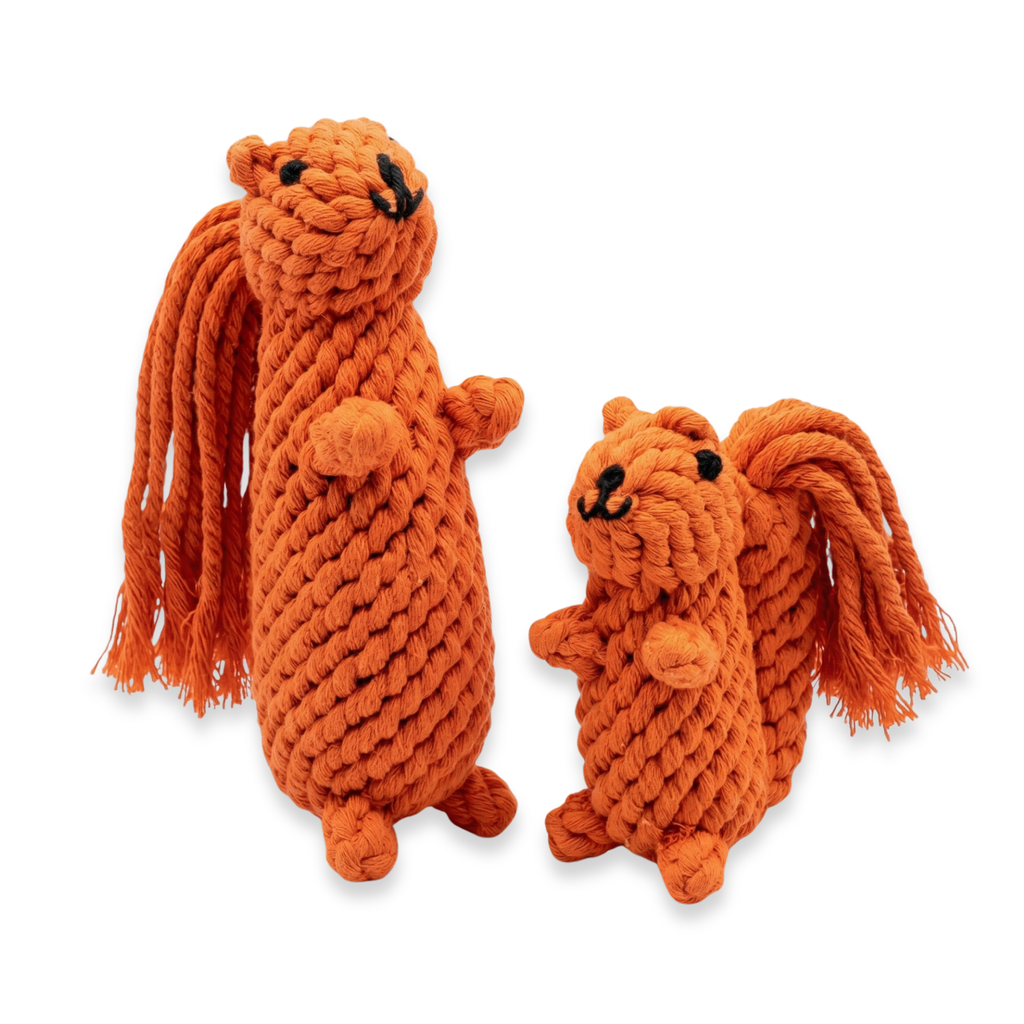Oliver the Squirrel Rope Toy